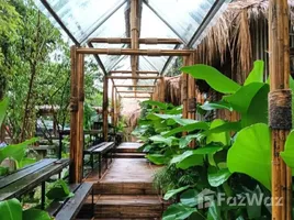 ขายโรงแรม 11 ห้องนอน ใน เมืองก๋าย, เชียงใหม่, เมืองก๋าย, แม่แตง, เชียงใหม่