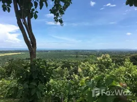  Terrain for sale in Aguirre, Puntarenas, Aguirre