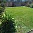 6 Bedroom House for sale in Curridabat, San Jose, Curridabat, San Jose