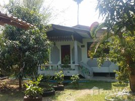  Grundstück zu verkaufen in Amphawa, Samut Songkhram, Bang Nang Li, Amphawa