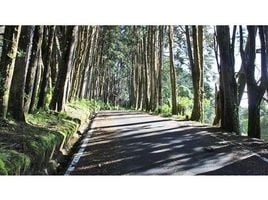  Land for sale in San Rafael, Heredia, San Rafael