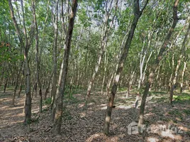  Terrain for sale in Rayong, Nong Lalok, Ban Khai, Rayong