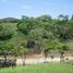  Terrain for sale in Honduras, Jose Santos Guardiola, Bay Islands, Honduras