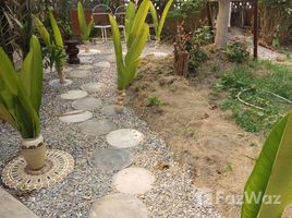 1 спален Дом for sale in Pa Daet, Mueang Chiang Mai, Pa Daet