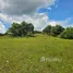  Terreno (Parcela) en venta en Buenavista, Central Visayas, Buenavista, Bohol