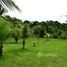  Terrain for sale in Para, Belem, Para