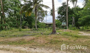 N/A Grundstück zu verkaufen in Sao Phao, Nakhon Si Thammarat 