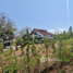  Terrain for sale in Hua Hin City, Hua Hin, Hua Hin City