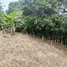 在哥斯达黎加出售的 土地, San Rafael, Heredia, 哥斯达黎加
