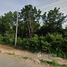  Land for sale in Mueang Tak, Tak, Mae Tho, Mueang Tak