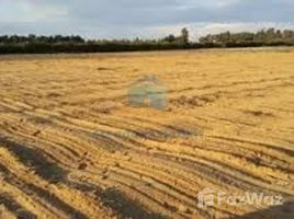  Land for sale in the United Arab Emirates, Al Samar, Al Yahar, Al Ain, United Arab Emirates