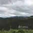  Land for sale in Vilcabamba Victoria, Loja, Vilcabamba Victoria