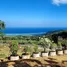  Terreno (Parcela) en venta en Terok Aik Belik, Lombok, Terok Aik Belik