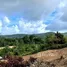 Land for sale in Choeng Thale, Phuket, Choeng Thale