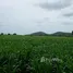  Grundstück zu verkaufen in Lao Khwan, Kanchanaburi, Nong Pling, Lao Khwan, Kanchanaburi