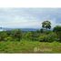  Land for sale in Puntarenas, Golfito, Puntarenas