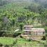 在OOTY TEA ESTATE出售的 土地, Udagamandalam, The Nilgiris, Tamil Nadu