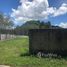  Land for sale in Thalang, Phuket, Si Sunthon, Thalang