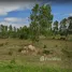  Land for sale in Saraburi, Cham Phak Phaeo, Kaeng Khoi, Saraburi