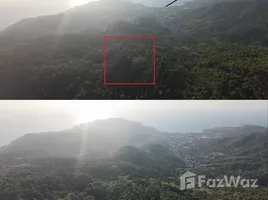  Land for sale in Kathu Phuket, Kathu, Kathu, Phuket