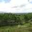 Limon Huge Property for Sale in Limon, with 3 independent wooden houses and spectacular views!, Siquirres, Limón N/A 土地 售 