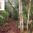  Land for sale in Morona Santiago, Chiguaza, Huamboya, Morona Santiago