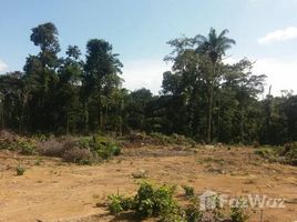  Grundstück zu verkaufen in Presidente Figueiredo, Amazonas, Presidente Figueiredo