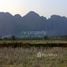  Terrain for rent in Laos, Vang Vieng, Vientiane, Laos