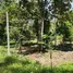  Land for sale in Thai Mueang Phangnga, Na Toei, Thai Mueang, Phangnga