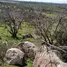  Grundstück zu verkaufen in Linares, Maule, Retiro, Linares, Maule