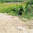  Land for sale in Choeng Thale, Phuket, Choeng Thale