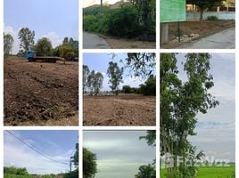  Land for sale in Lop Buri, Nong Mueang, Ban Mi, Lop Buri