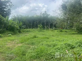  Земельный участок for sale in Пхукет, Pa Khlok, Тхаланг, Пхукет