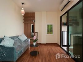 1 Bedroom Condo for sale at Tree Boutique Resort, Chang Khlan, Mueang Chiang Mai, Chiang Mai