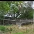  Terreno (Parcela) en venta en Rainbow Village , Caloocan City