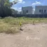  Land for sale in Wat Chalo, Nonthaburi, Wat Chalo, Bang Kruai