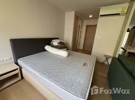 คอนโด สตูดิโอ ให้เช่า ในโครงการ ลิฟ แอท 49, คลองตันเหนือ, วัฒนา, กรุงเทพมหานคร