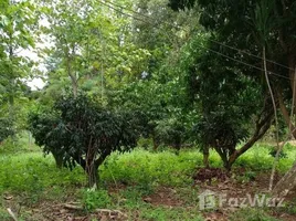 4 Bedroom Villa for rent in Loei, Nong Bua, Phu Ruea, Loei