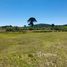  Land for sale in Chile, Lonquimay, Malleco, Araucania, Chile