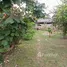 ขายที่ดิน ใน บางนาค, นราธิวาส, บางนาค, เมืองนราธิวาส, นราธิวาส, ไทย