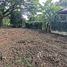  Land for sale in Tha Wang Tan, Saraphi, Tha Wang Tan