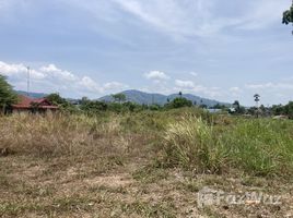  Land for sale in Nai Harn Beach, Rawai, Rawai