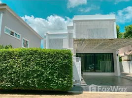 วิลล่า 4 ห้องนอน ให้เช่า ในทำเล สันพระเนตร, เชียงใหม่, สันพระเนตร, สันทราย, เชียงใหม่, ไทย