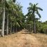  Land for sale in Santa Cruz, Guanacaste, Santa Cruz