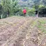  Terreno (Parcela) en venta en Gualaceo, Azuay, Gualaceo, Gualaceo