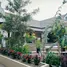 ขายบ้านเดี่ยว 3 ห้องนอน ใน ลวงเหนือ, เชียงใหม่, ลวงเหนือ