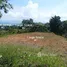 Terrain for sale in Golfito, Puntarenas, Golfito