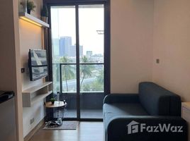 ขายคอนโด 1 ห้องนอน ในโครงการ เดอะ ลุมพินี 24, คลองตัน, คลองเตย