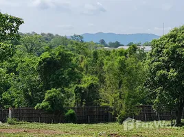 在清莱出售的 土地, Huai Sak, Mueang Chiang Rai, 清莱