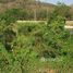  Земельный участок for sale in Thap Kwang, Saraburi, Thap Kwang, Kaeng Khoi, Saraburi